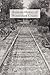 Railroad History of Winneshiek County: The Impact of the Railroads on the Cities and Towns along the Line