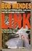 Link (Dutch Edition)