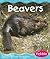 Beavers (Wetland Animals)