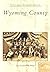 Wyoming County (PA) (Postcard History Series)