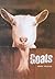 Goats