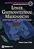 Lower Gastrointestinal Mali...