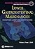 Lower Gastrointestinal Malignancies, Volume 1 by Charles R. Thomas Jr.