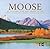 Moose of Yellowstone and Grand Teton