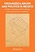 Organised Labour and Politics in Mexico: Changes, Continuities and Contradictions (Institute of Latin American Studies)