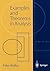 Examples and Theorems in Analysis
