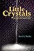 Little Crystals: A Low Sodium Journey Through the Salted Land
