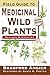 Field Guide to Medicinal Wild Plants by Bradford Angier