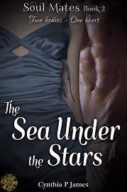 The Sea Under The Stars (SOUL MATES, #2)