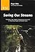 Saving Our Streams (Researc...