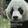 A Black Eye Isn't the End of the World: The Panda Priciples: Simple Thoughts for a Better Life A Black Eye Isn't the End of the World: The Panda Priciples: Simple Thoughts for a Better Life