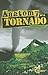 Anatomy of a Tornado by Terri Dougherty
