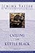 Calling the Kettle Black: Book 5 of the Hal Westwood Restoration Mysteries