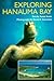 Scott: Exploring Hanauma Bay (Kolowalu Books (Paperback))
