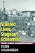 Stunted Lives, Stagnant Economies by Eileen Stillwaggon
