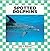 Spotted Dolphins