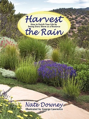 Harvest the Rain, How to Enrich Your Life by seeing Every Storm as a Resource (Paperback)
