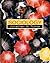 Sociology by Jonathan H. Turner