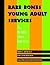Bare Bones Young Adult Services: Tips for Public Library Generalists (ALA Editions)