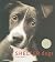 Shelter Dogs by Traer Scott