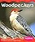 Woodpeckers (Woodland Animals)