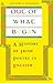 Out of What Began: A History of Irish Poetry in English