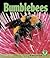 Bumblebees (Early Bird Nature Books)