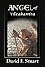 Angel of Vilcabamba by David E. Stuart