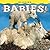 Glacier Babies! (Babies! (Farcountry Press))