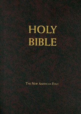 School & Church Bible Nab