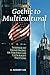Gothic to Multicultural: Idioms of Imagining in American Literary Fiction (Costerus New Series, 178)
