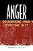 Anger by Andrew D. Lester