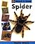 Spider by Barrie Watts