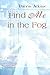 Find Me in the Fog