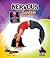 Nervous System (Body Systems)