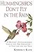 Hummingbirds Don't Fly In The Rain by Kimberly Klein