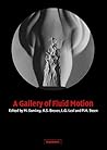 A Gallery of Fluid Motion