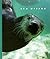 Sea Otters (The World of Mammals, 1244)