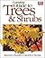 Complete Guide to Trees and...