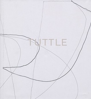 The Art of Richard Tuttle (Hardcover)