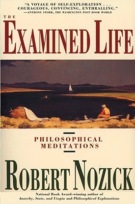 The Examined Life: Philosophical Meditations (Paperback)