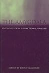 The Amygdala: A F...