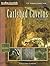 Carlsbad Caverns (Reading Essentials in Social Studies)