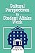 Cultural Perspectives in Student Affairs Work by George D. Kuh