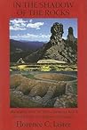 In the Shadow of the Rocks: Archaeology of the Chimney Rock District in Southern Colorado
