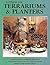 Patterns for Terrariums and Planters by Randy A. Wardell