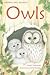 Owls (Usborne First Reading Level 4)