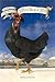 The Little Black Hen