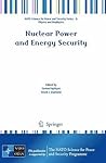 Nuclear Power and Energy Security (NATO Science for Peace and Security Series B: Physics and Biophysics)