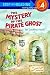 The Mystery Of The Pirate Ghost by Geoffrey Hayes